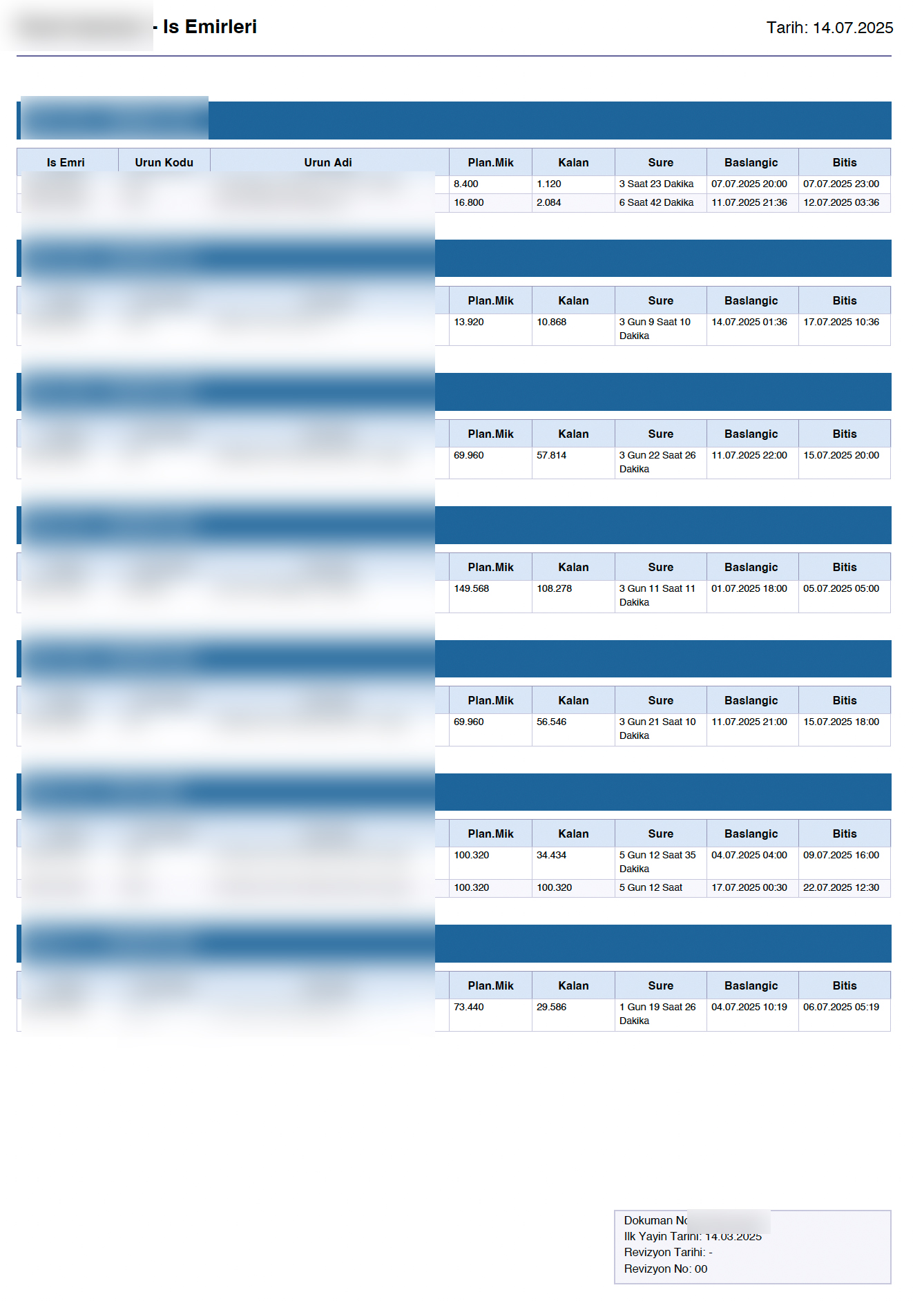 Print Options